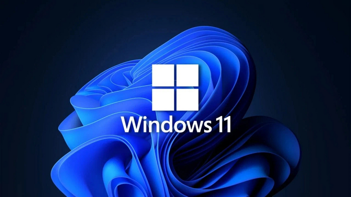  Windows 11   ,     Microsoft        , Windows, Microsoft, 