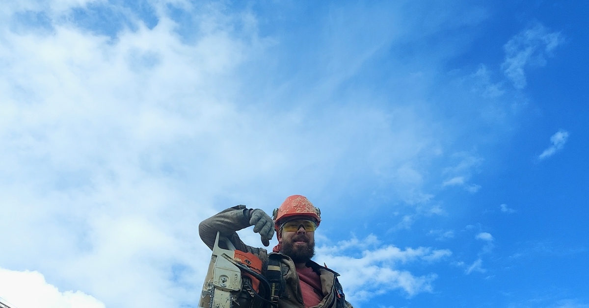 Моя работа. Плотник | Пикабу