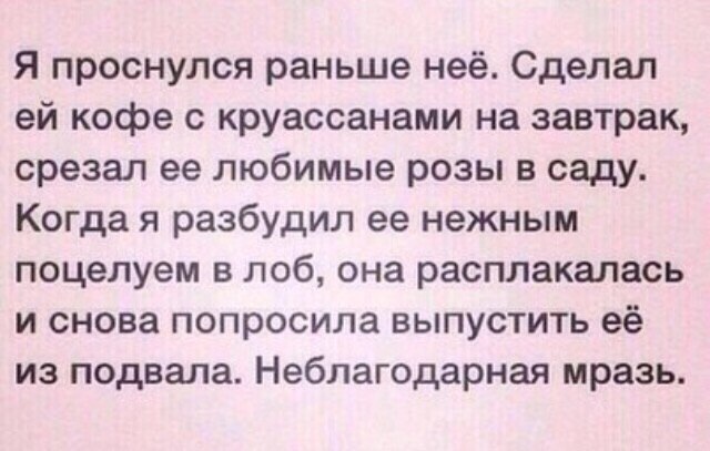 Романтик | Пикабу