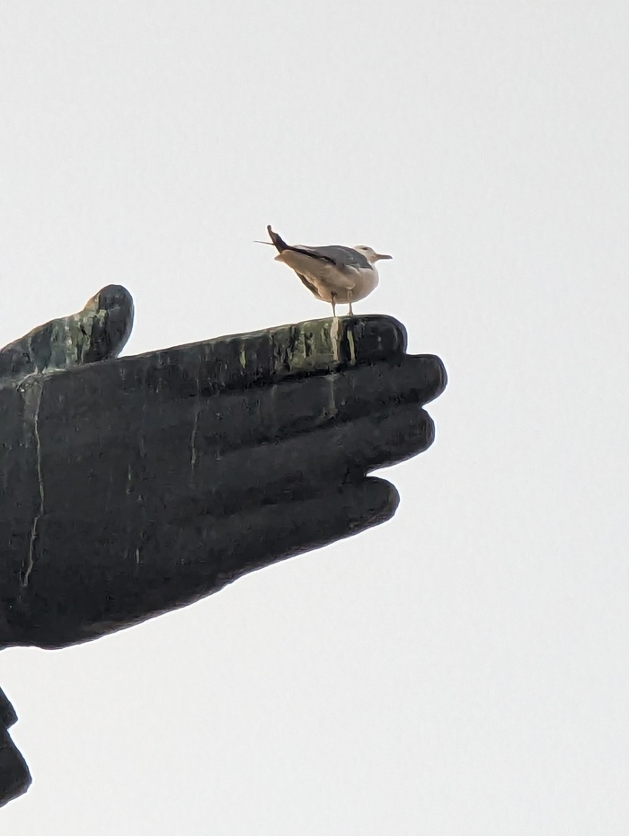 ����� �� ���� ������