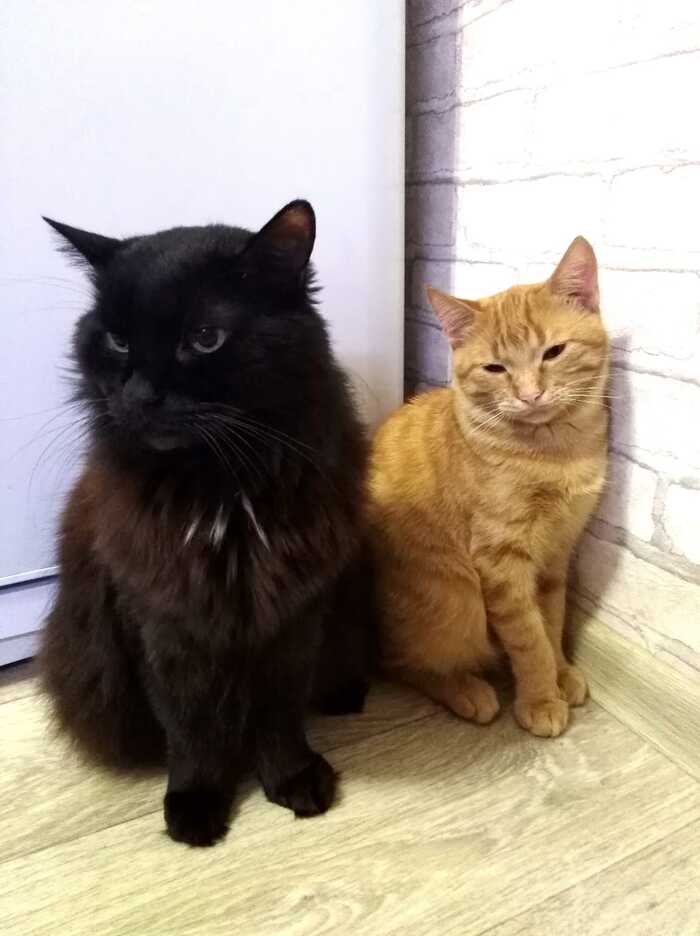 � ������ ���� ������� ��� ����� ����� ��� ���� ������...