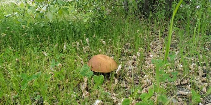 ���� �� ������...