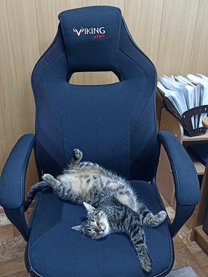 На волне постов про работу