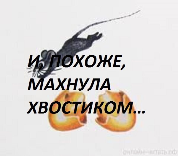 , ,  ̅ (  "   ") , ,  , , 