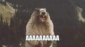 �������������-�-�_�_�_-�