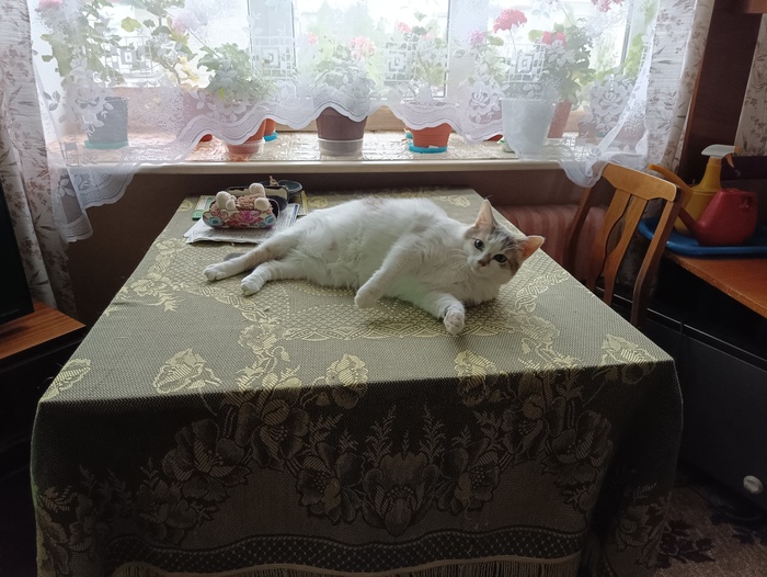 Не на волне