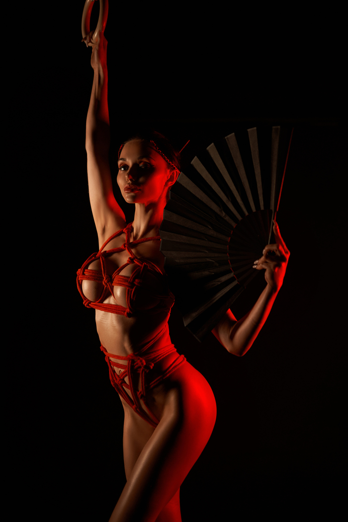    , , , , ,  , Shibari, 