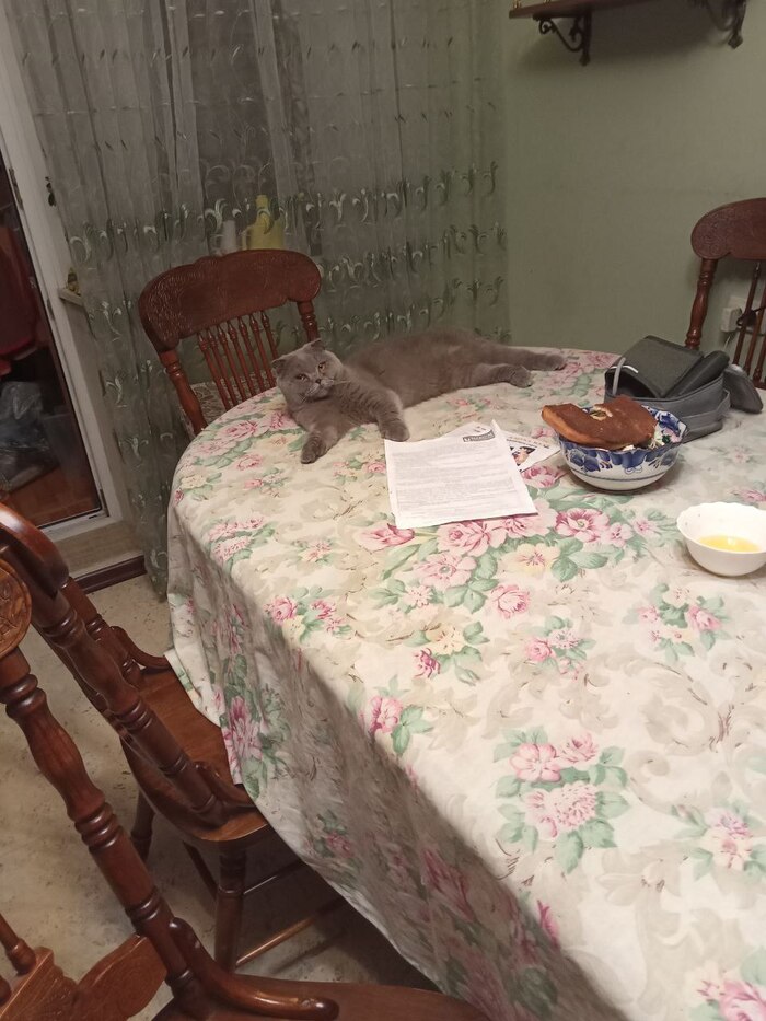 ��� �������� ������ ����������