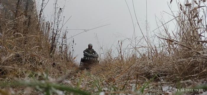 Ответ на пост «Мужики! Даёшь нормальный флешмоб...»