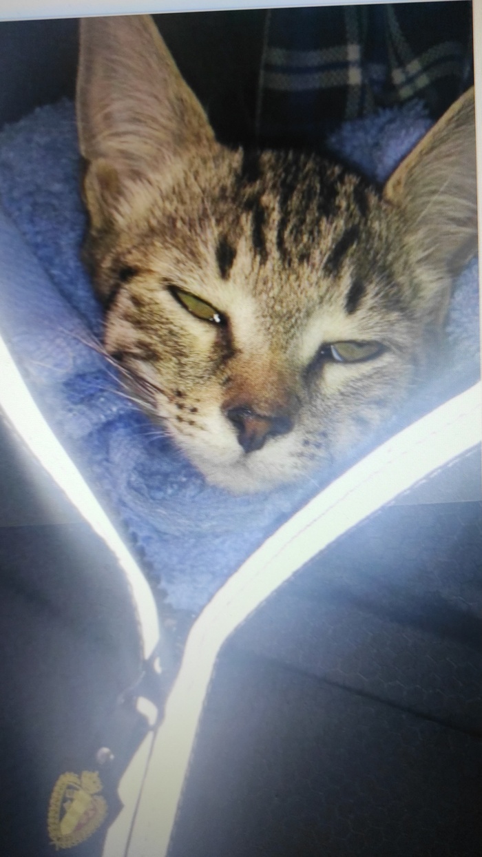 ������ "����" � ����� ���...