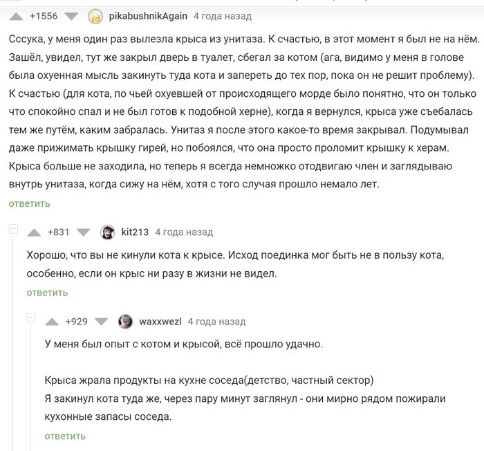 Кот и крыса...