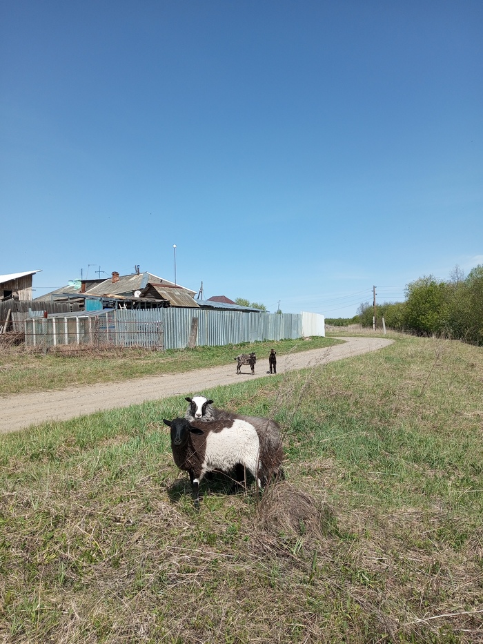 Княжеское подворье -2