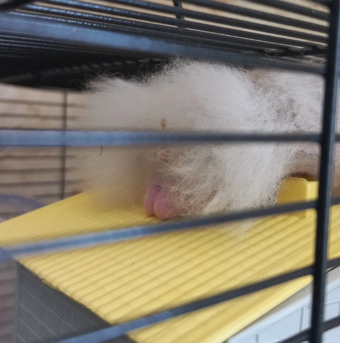 Предвидя будущую волну постов