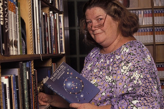 "����������� ���� �� ����� ���� ����� �������"