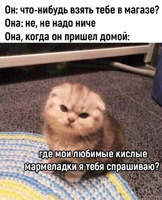 Мармеладки | Пикабу