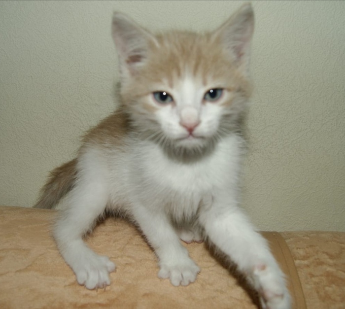 ����� �� ���� ������ �� ���� "��������� ����� ������-����� ���� ������ � ���� ���� ����������"�