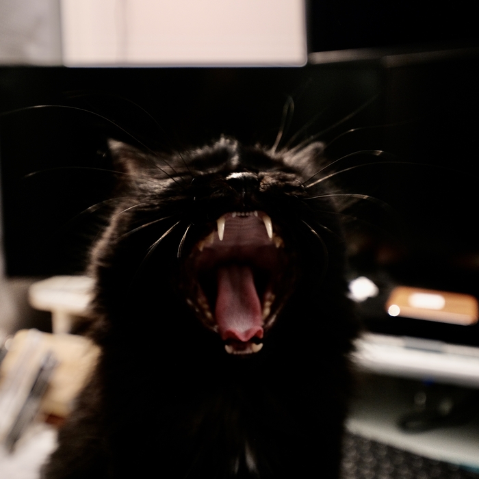  ,  , ,  , 