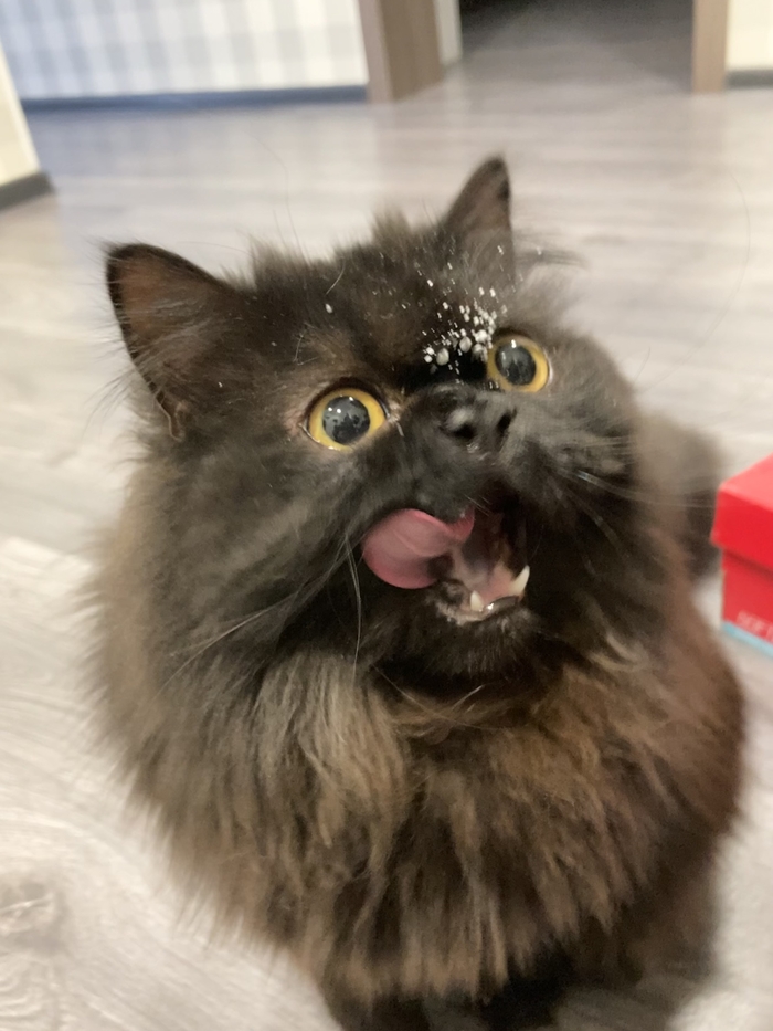 ���������� �������