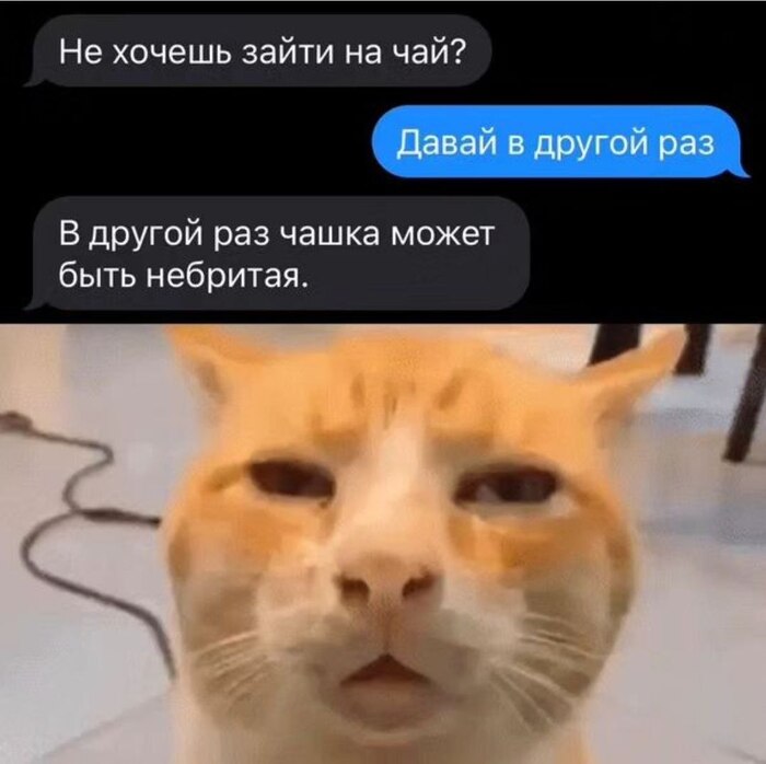 Неожиданный поворот