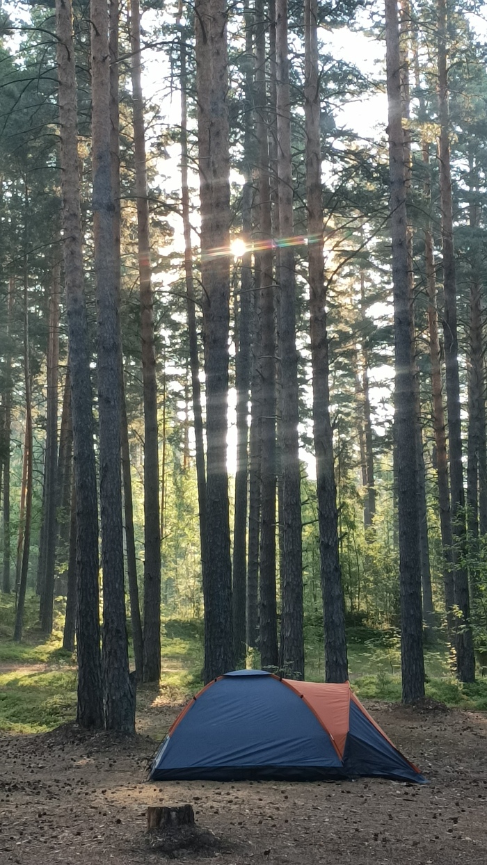 (��) ���������