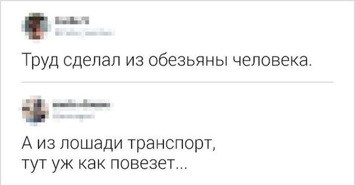 Труд делает человека человеком. Труд из обезьяны сделал человека а из лошади. Труд сделал из обезьяны человека а из лошади транспорт. Комменты с одноклассников. Труд сделал из обезьяны человека операция ы.