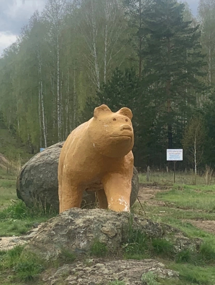 �� ���� ����