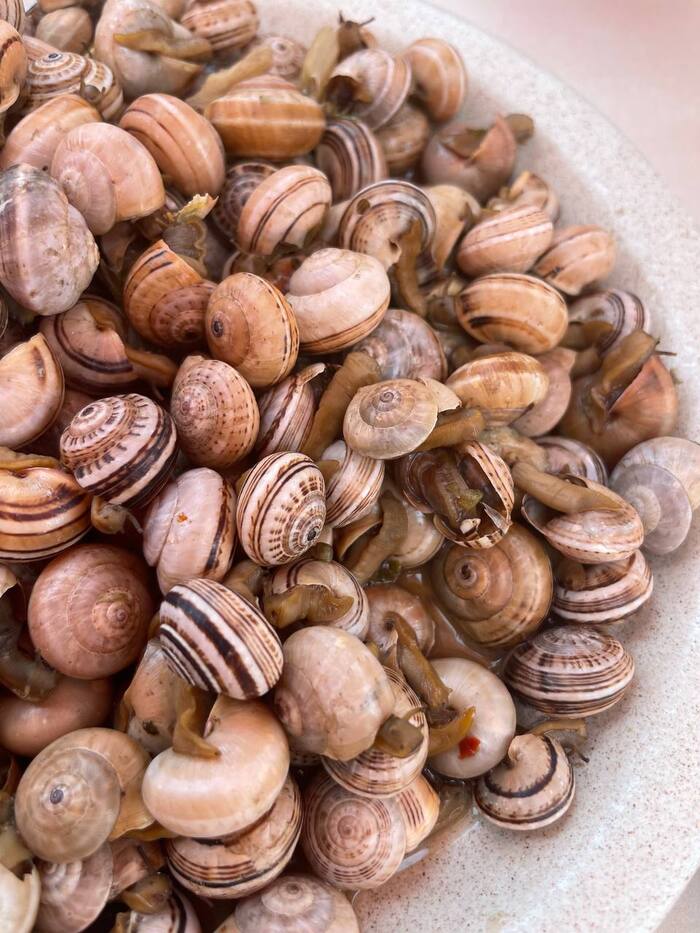 ��� � ���������� ������� ������