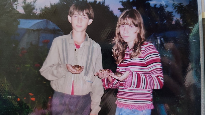 ��� �������� �� ����� 2007