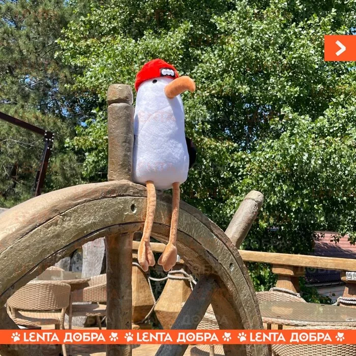 Лента добра Доброта, Отдых, Забывчивость, Все хорошо, Милота, Анапа, Отель, Длиннопост