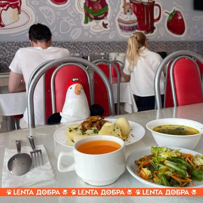 Лента добра Доброта, Отдых, Забывчивость, Все хорошо, Милота, Анапа, Отель, Длиннопост