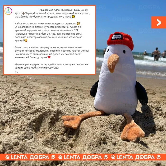 Лента добра Доброта, Отдых, Забывчивость, Все хорошо, Милота, Анапа, Отель, Длиннопост