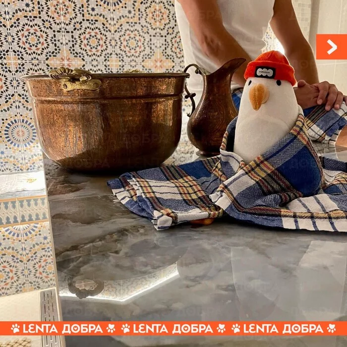 Лента добра Доброта, Отдых, Забывчивость, Все хорошо, Милота, Анапа, Отель, Длиннопост