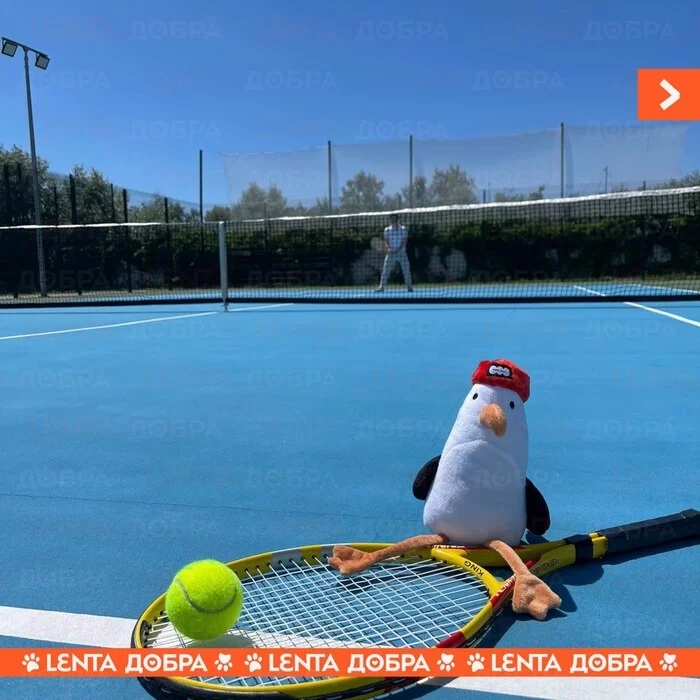 Лента добра Доброта, Отдых, Забывчивость, Все хорошо, Милота, Анапа, Отель, Длиннопост