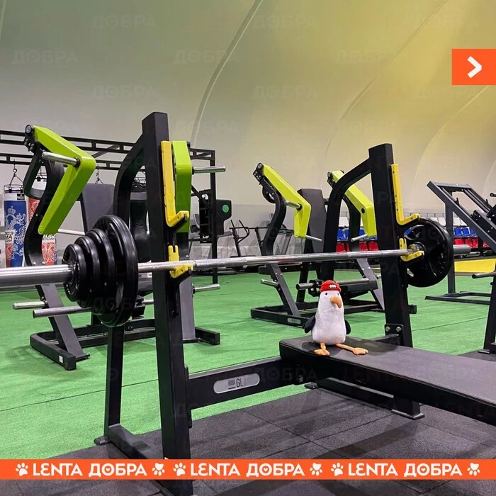 Лента добра Доброта, Отдых, Забывчивость, Все хорошо, Милота, Анапа, Отель, Длиннопост