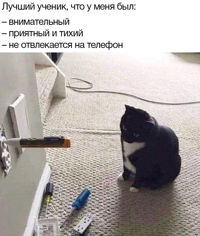  ,   , , , 