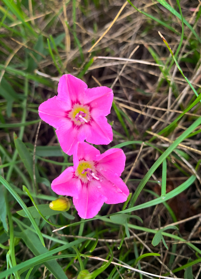 Пробуждение | Пикабу