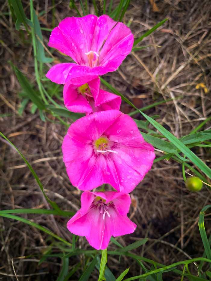 Пробуждение | Пикабу