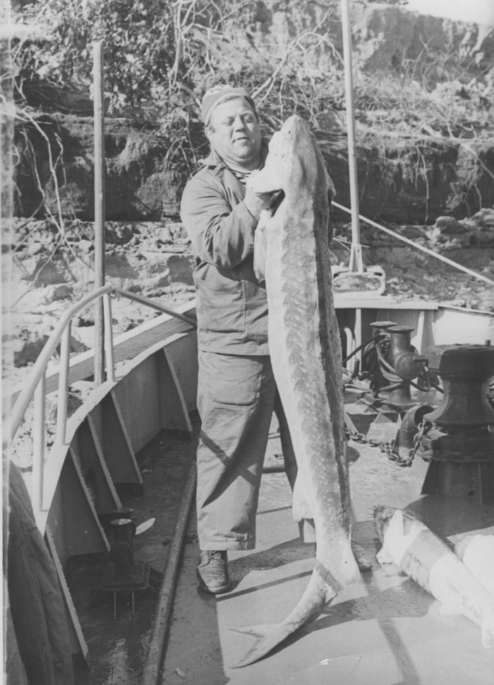 Россия и мировой конвейер производства черной икры