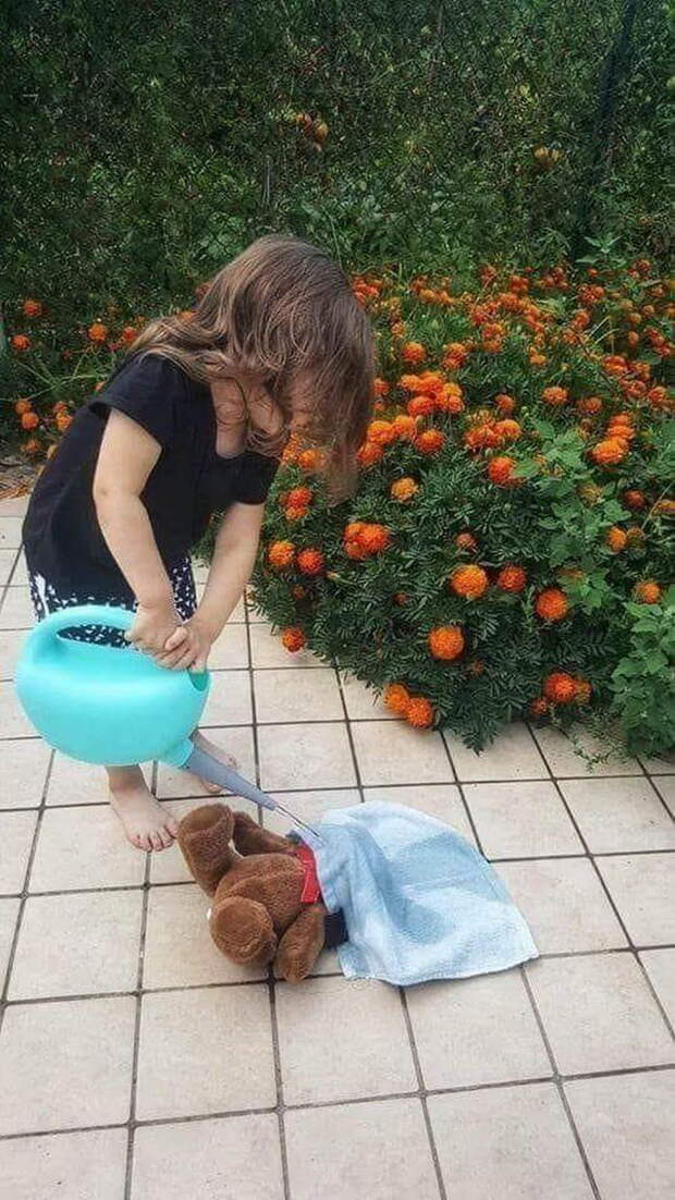 Где мёд Тедди? | Пикабу