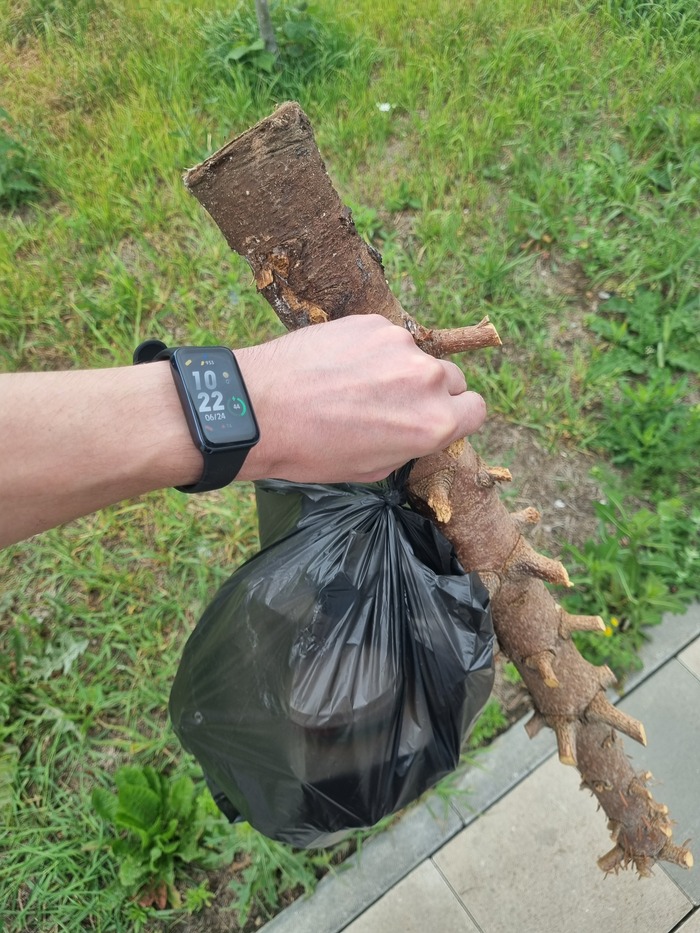 Не работает зарядка на айфоне