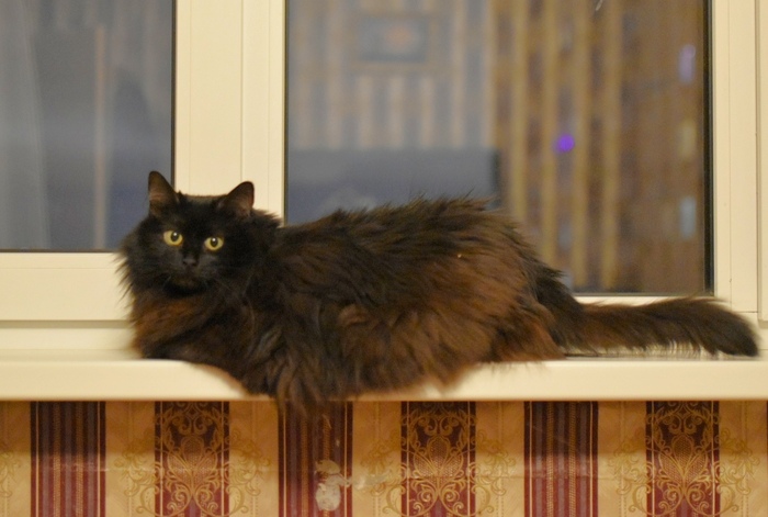 ���������� ��������