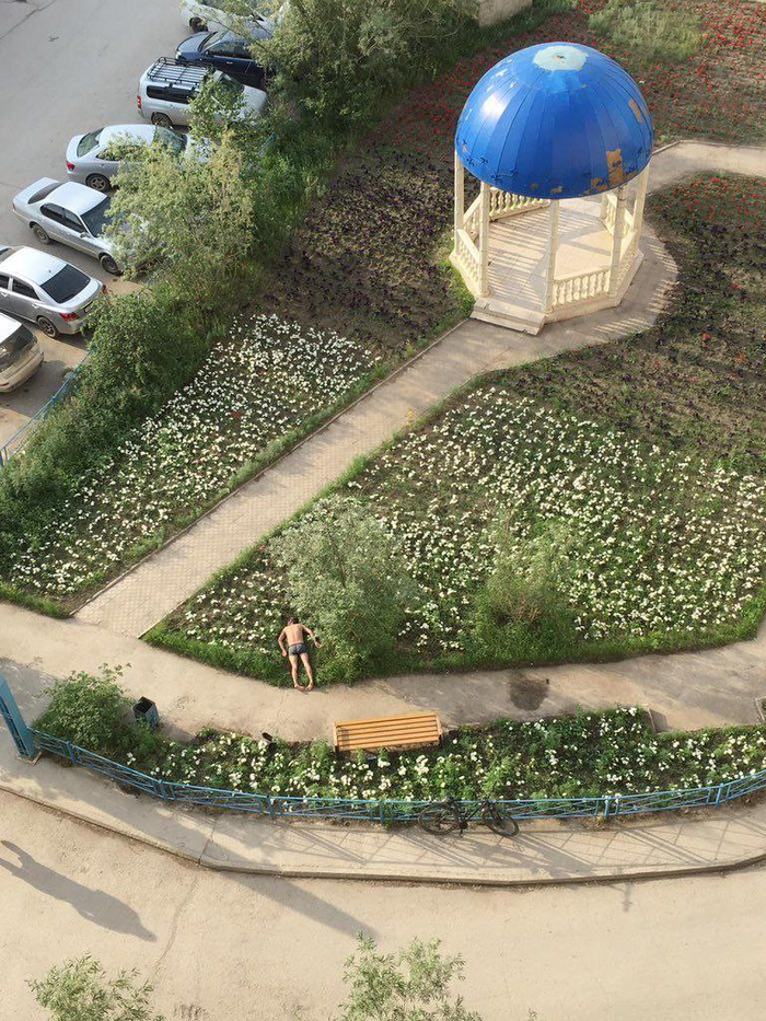 Чисто Якутск… | Пикабу