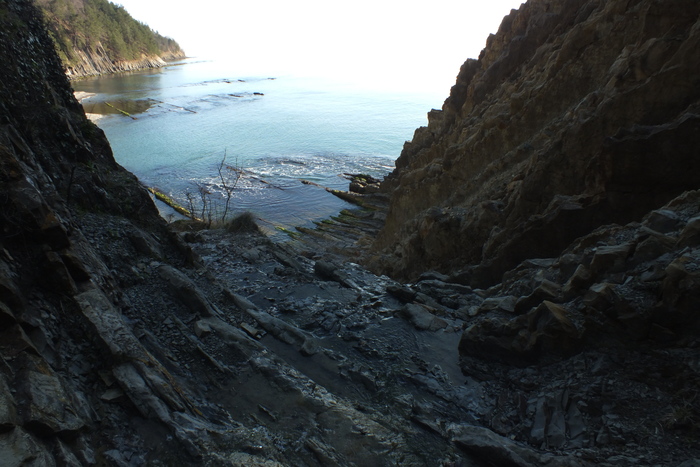 ������� ������������ ���������