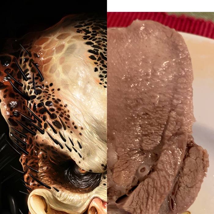 ����� �������. ������ ����������� ��������