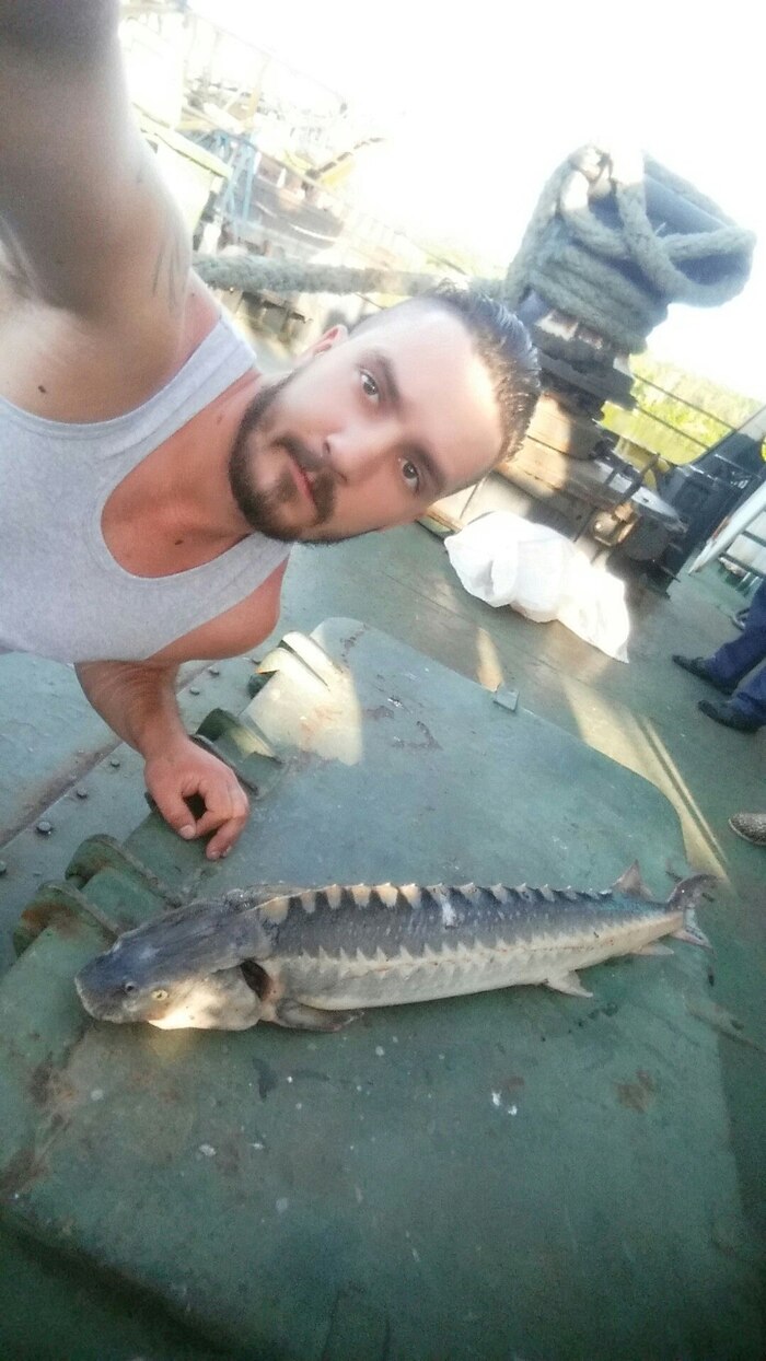 Бестер | Пикабу