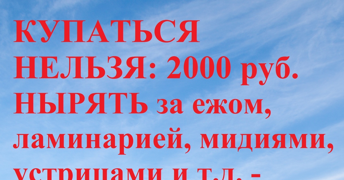 Штраф за купание на пляже: как не платить, сэкономить и избежать ...