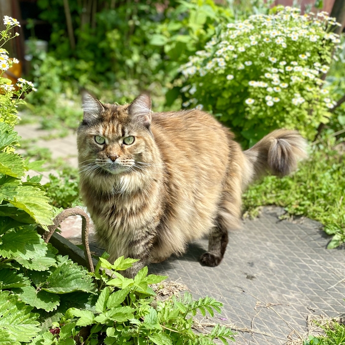 ����� �� �����