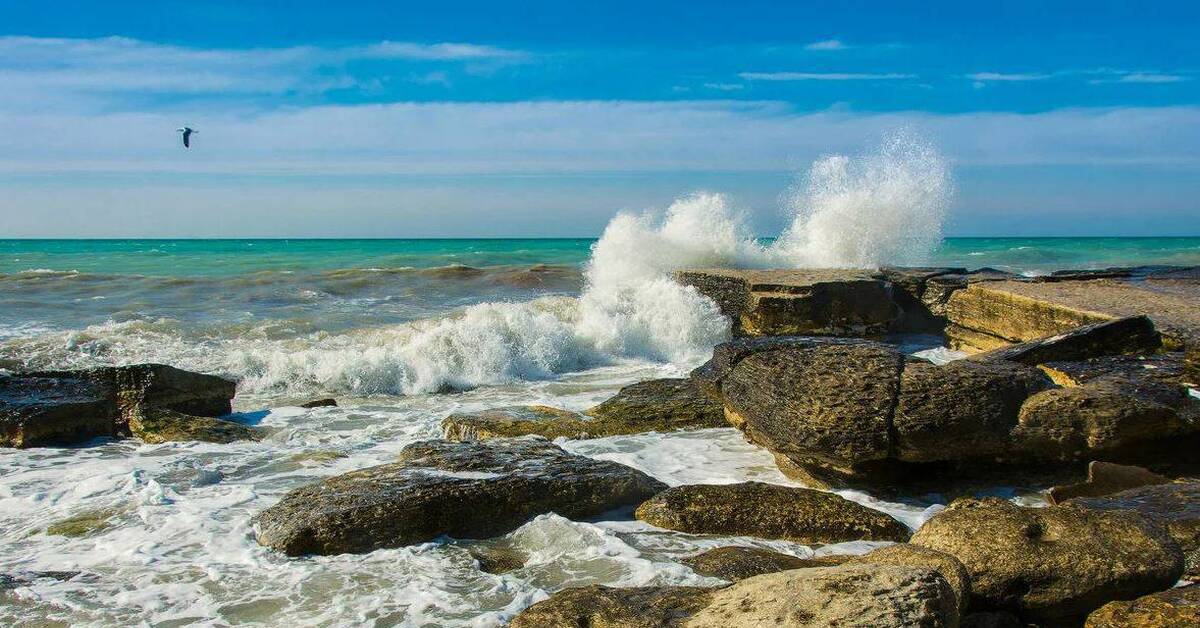 Каспийское море южный берег. Каспийское море.