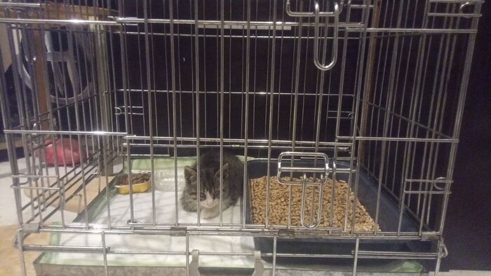 ���� ���������� ������ � ������!