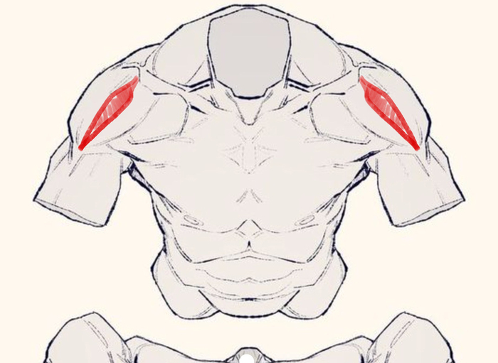 Сильная боль в мышцах